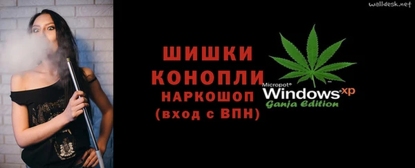 ПСИЛОЦИБИНОВЫЕ ГРИБЫ Алексеевка