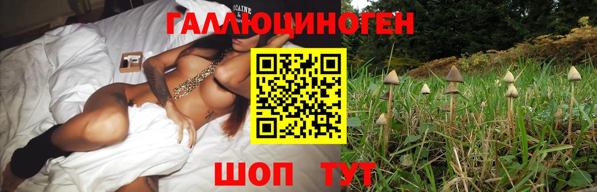 Галлюциногенные грибы ЛСД  Галлюциногенные грибы Cubensis  Вход с VPN  Кропоткин 